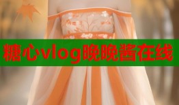 糖心vlog晚晚酱在线