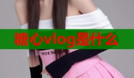 糖心vlog是什么