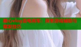 糖心vlog雷电将军：探索游戏辅助与爆发技巧