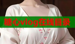 糖心vlog在线目录