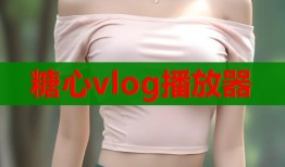 糖心vlog播放器
