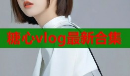 糖心vlog最新合集