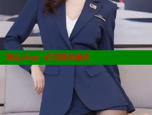 糖心vlog一直线路检测中