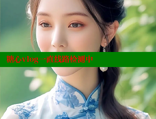糖心vlog一直线路检测中