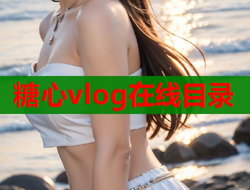 糖心vlog在线目录