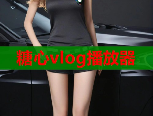 糖心vlog播放器