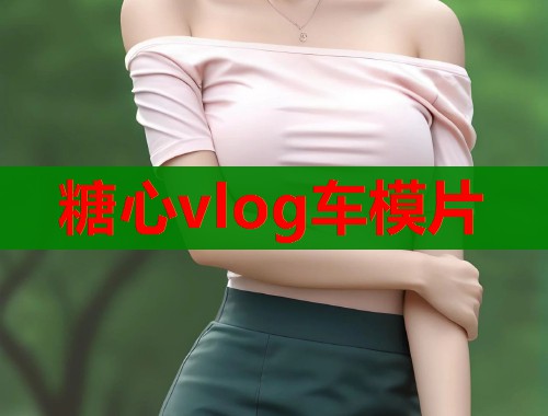 糖心vlog车模片