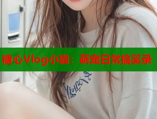 糖心Vlog小猫：萌宠日常搞笑录